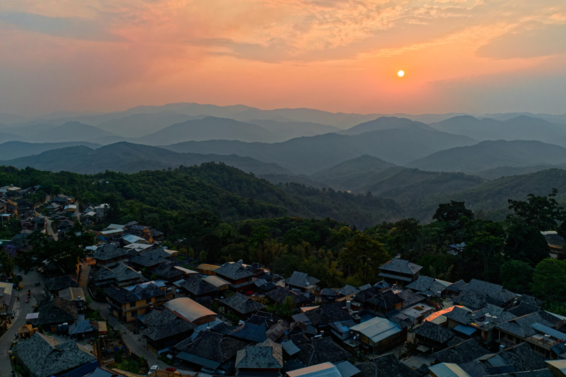 上春雷火竞技网址山 觅茶香：云南茶叶图鉴(图19)