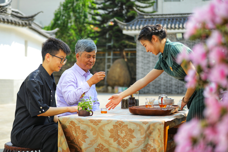 上春雷火竞技网址山 觅茶香：云南茶叶图鉴(图20)