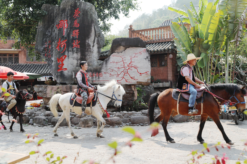 上春雷火竞技网址山 觅茶香：云南茶叶图鉴(图28)