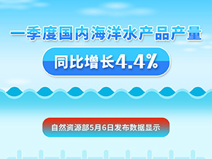题图.jpg