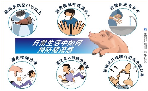 图表:日常生活中如何预防猪流感