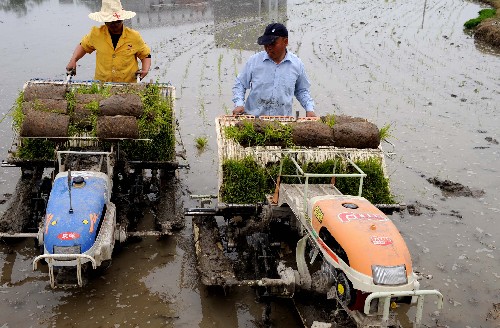 4月29日,江西樟树市昌傅镇洛湖村刘春林(右)父子用插秧机在自家承包的280亩水田中插秧。“赣中粮仓”江西樟树市在认真执行国家水稻良种补贴、农资综合直补及农业机械补贴等系列惠农政策的基础上,围绕实现粮食生产节本增效,大力推广良种、良技、良法,提升粮食生产的科技支撑力度和机械化作业水平,农民种粮积极性得以提高。预计今年该市早稻种植面积达51.5万亩,比去年增长3%。 新华社记者 宋振平 摄