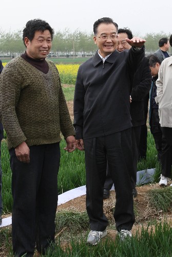 4月5日至6日,中共中央政治局常委、国务院总理温家宝在河北考察农业和春耕生产。这是4月5日,温家宝在沙河市十里铺村了解小麦生长情况。新华社记者 刘卫兵 摄